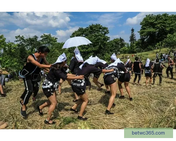 开云账号登录问题解决方法及常见错误排查技巧